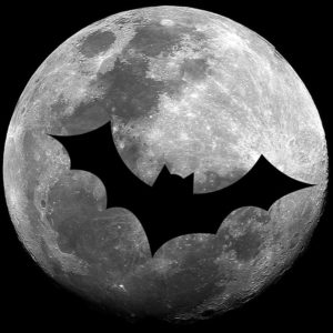 moon bat